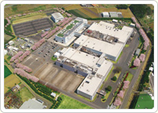 Tsukuba Plant